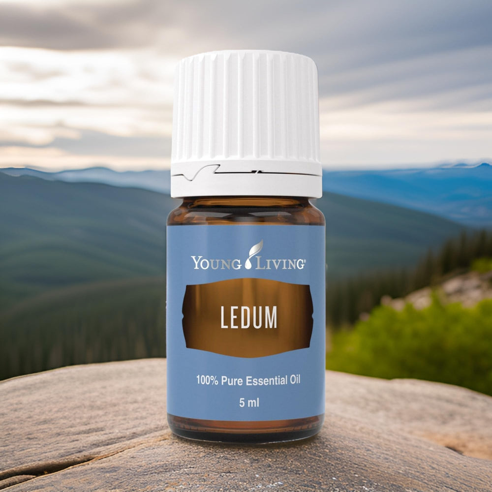 Young Living Ledum Premium Oil enhances massage aromatics