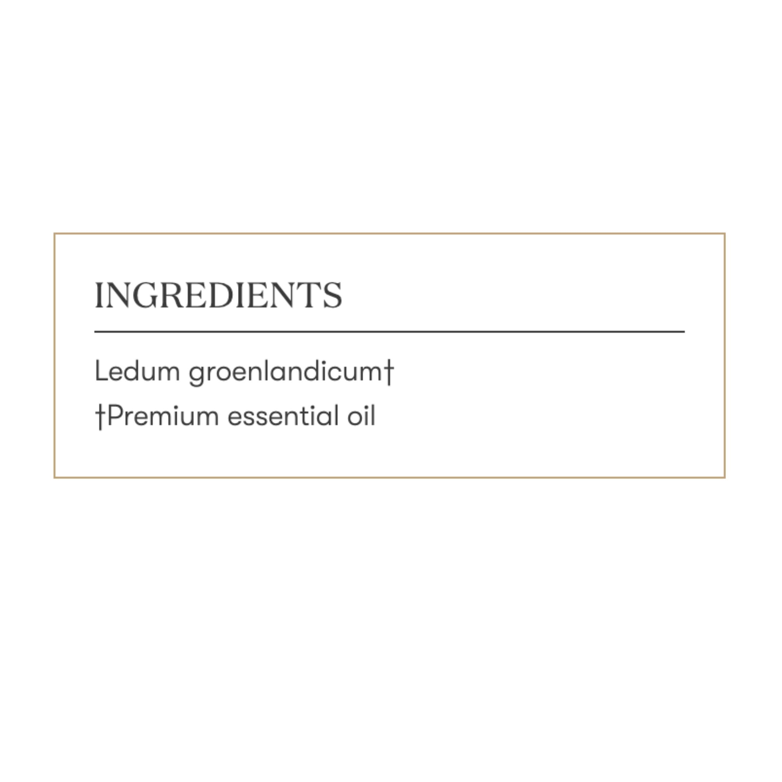 Young Living Ledum Premium Oil helps create sacred cleansing atmosphere