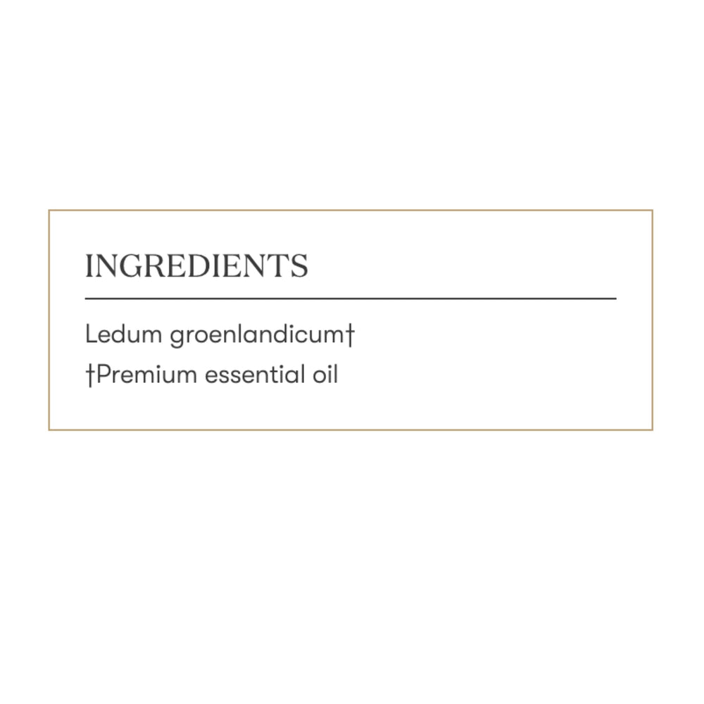 Young Living Ledum Premium Oil helps create sacred cleansing atmosphere