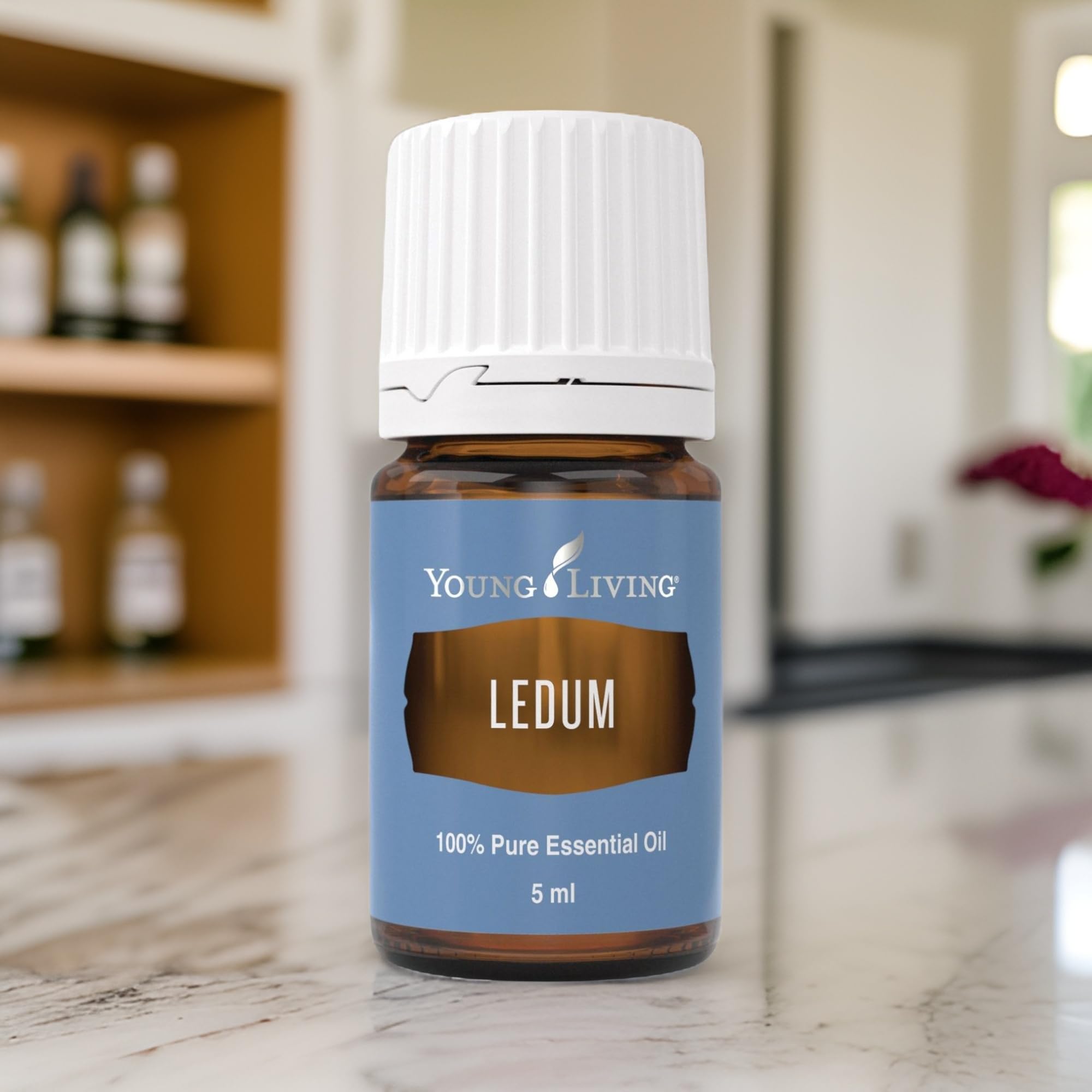 Young Living Ledum Premium Oil in a calm yoga space
