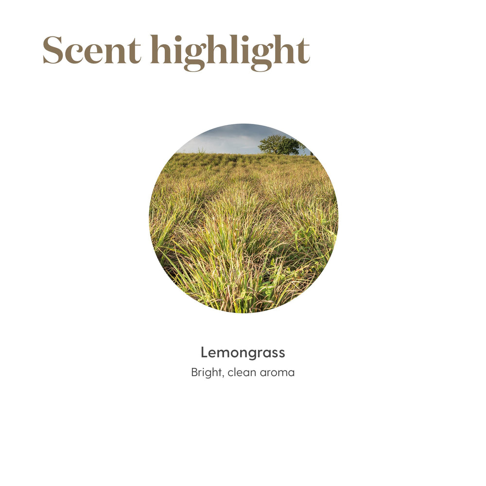 Young Living Lemongrass in a calming massage setting for relaxation.