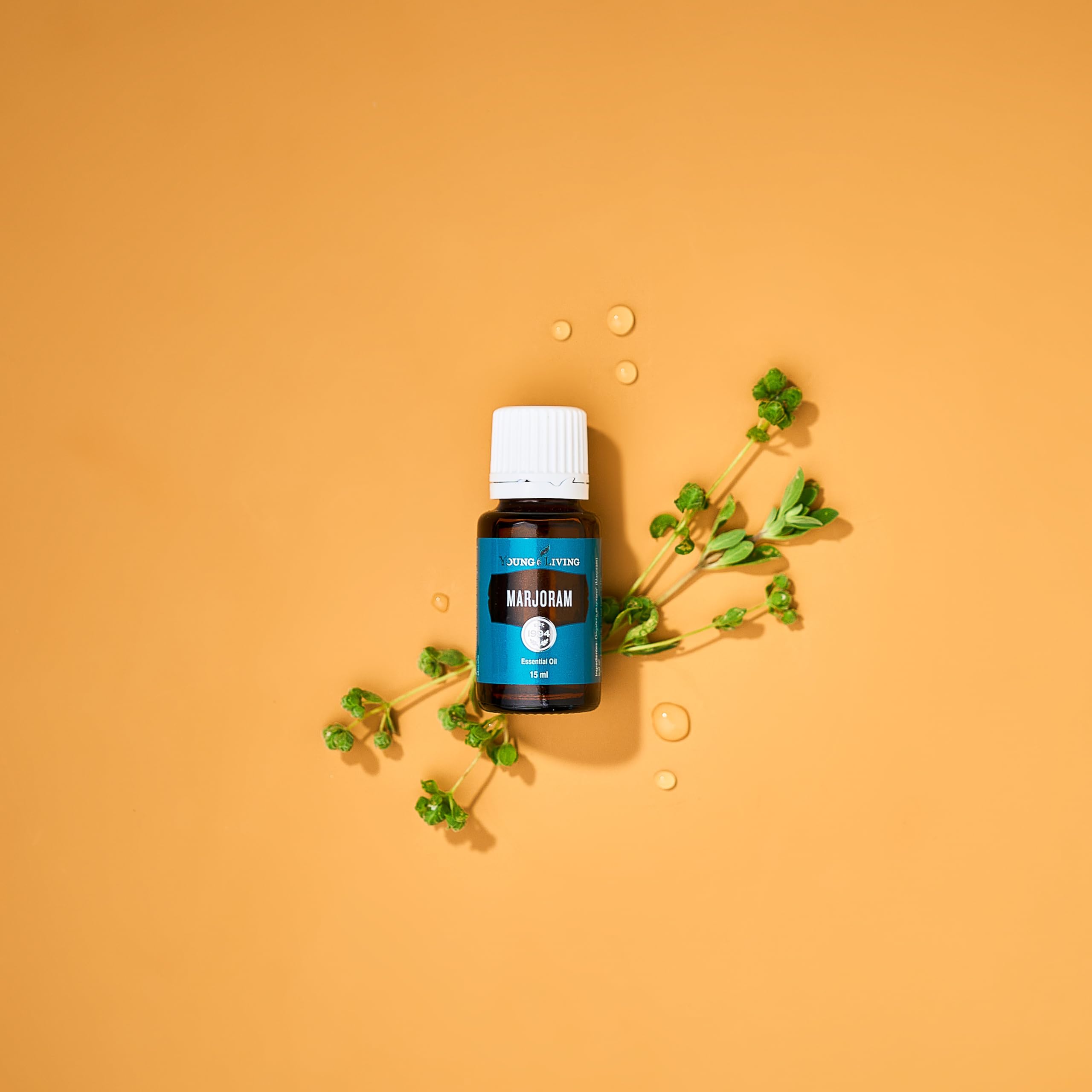 Young Living Marjoram essential oil diffuser setup creates soothing atmosphere