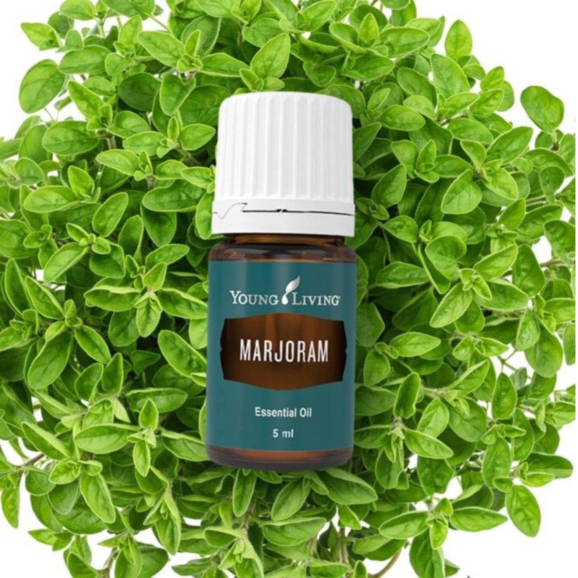 Marjoram essential oil bottle on shelf by Young Living for daily rituals