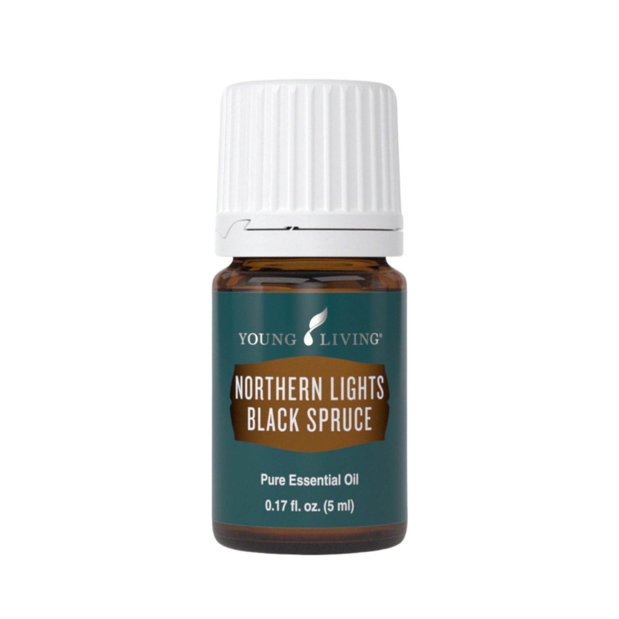 Young Living Northern Black Spruce 5ml bottle for grounding aroma