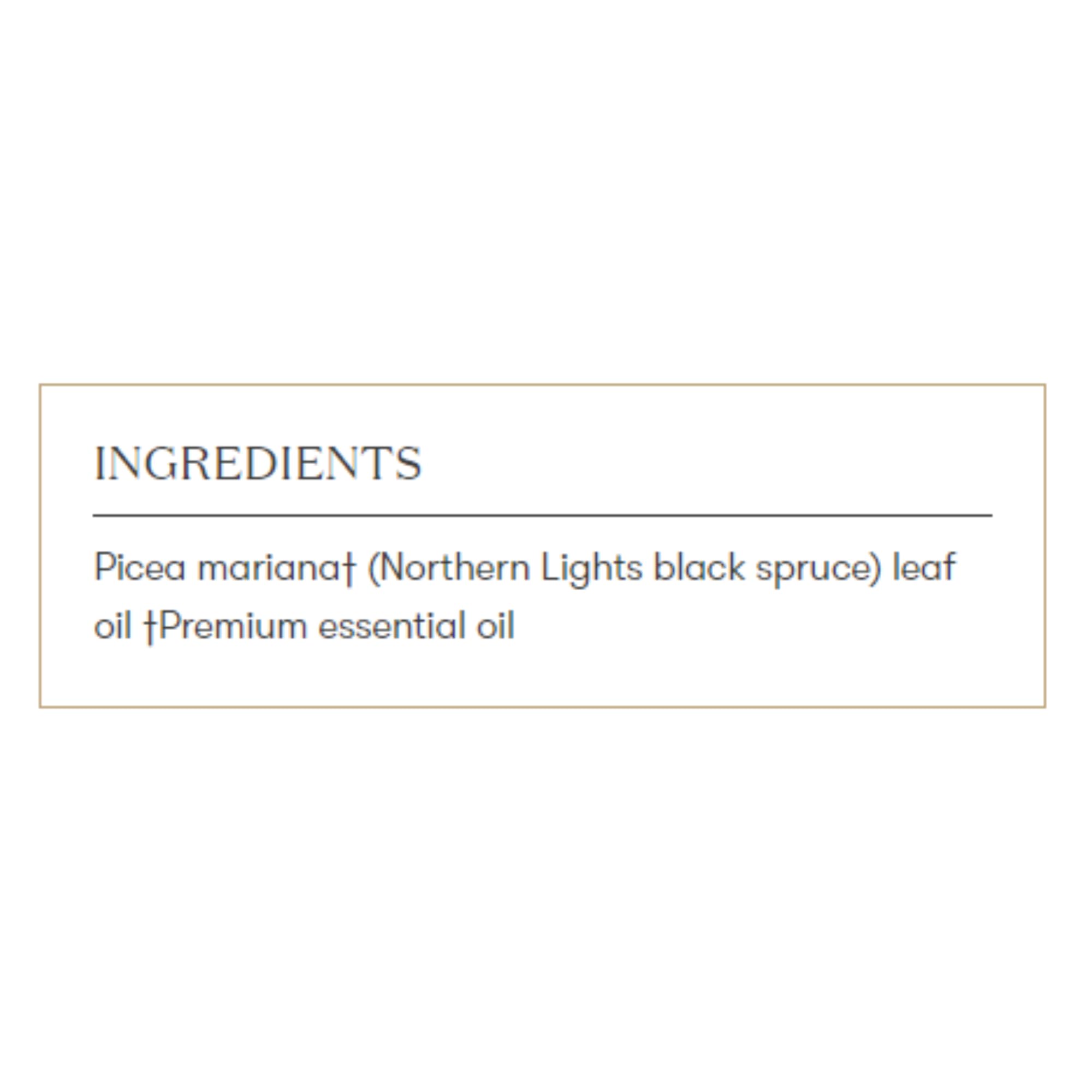 Young Living Northern Black Spruce diffuser mist view highlighting an invigorating evergreen scent.
