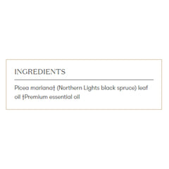 Young Living Northern Black Spruce diffuser mist view highlighting an invigorating evergreen scent.