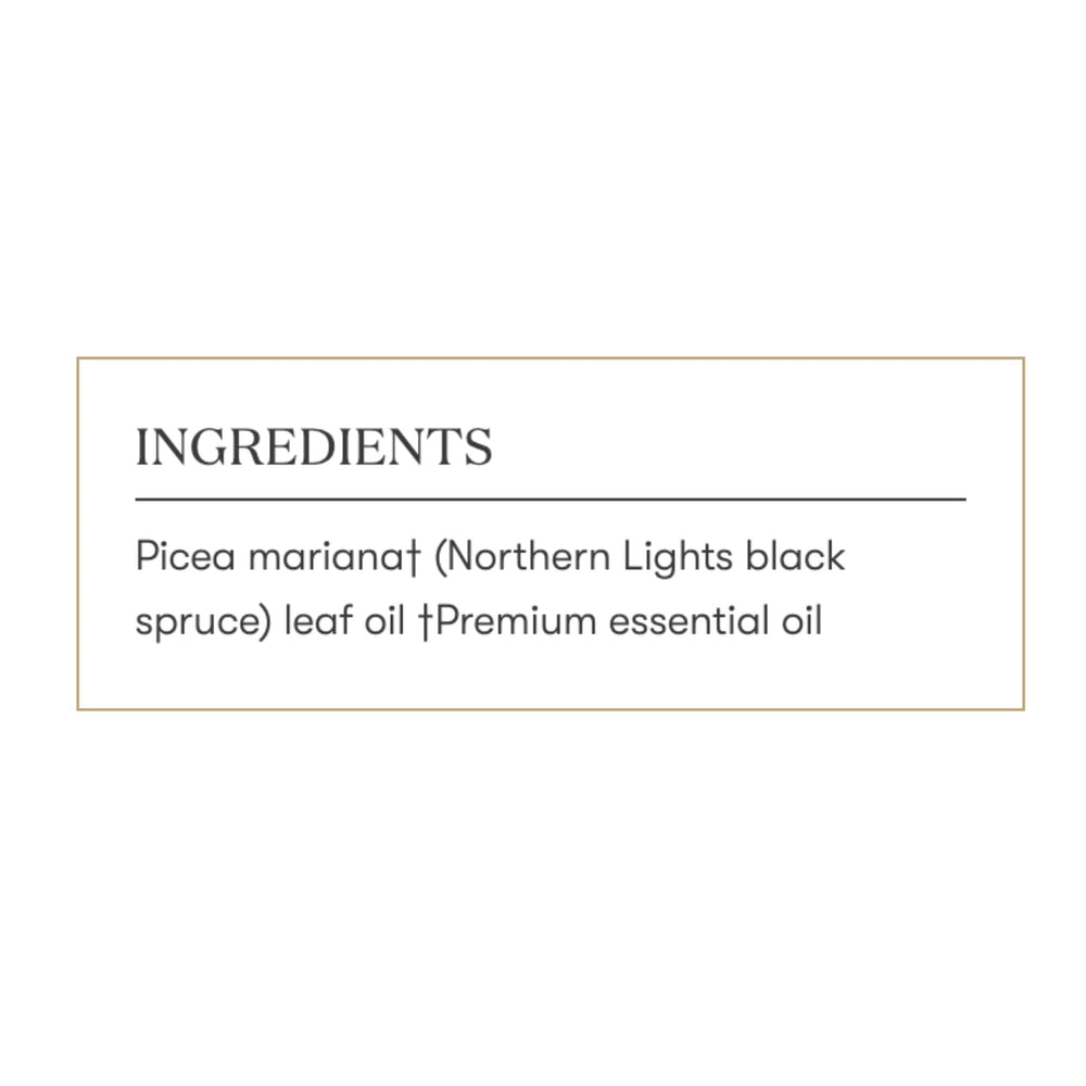 Dropper application of Young Living Northern Black Spruce oil in routine