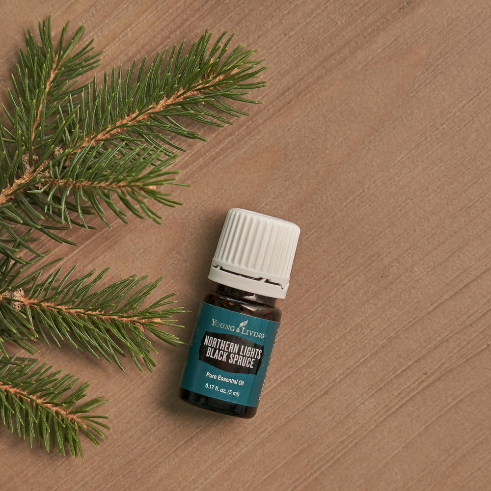 Packaging and label of Young Living Northern Black Spruce