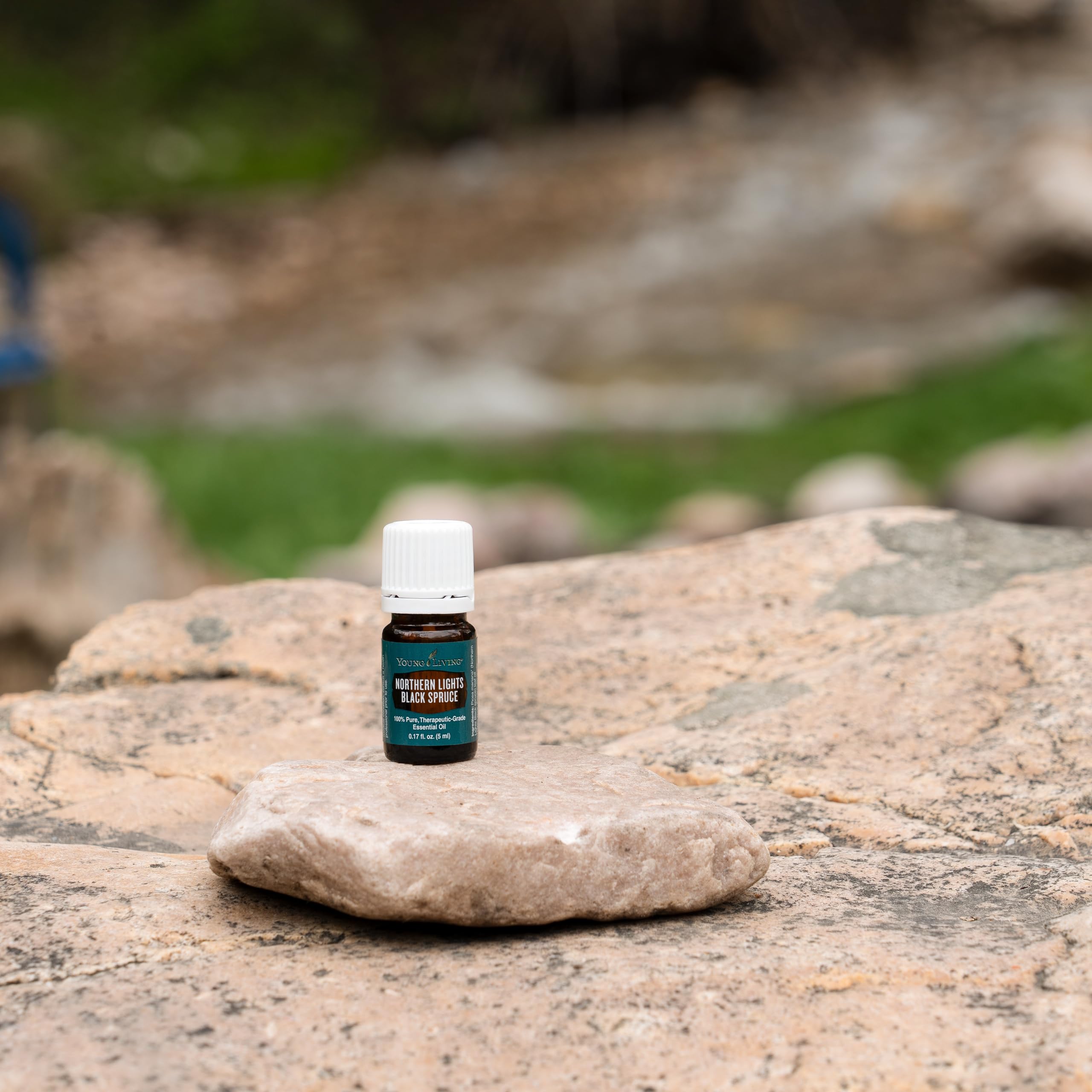 Relaxation ambience with Young Living Northern Black Spruce diffuser
