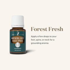 Young Living Northern Lights Black Spruce diffuser scene for a serene atmosphere.