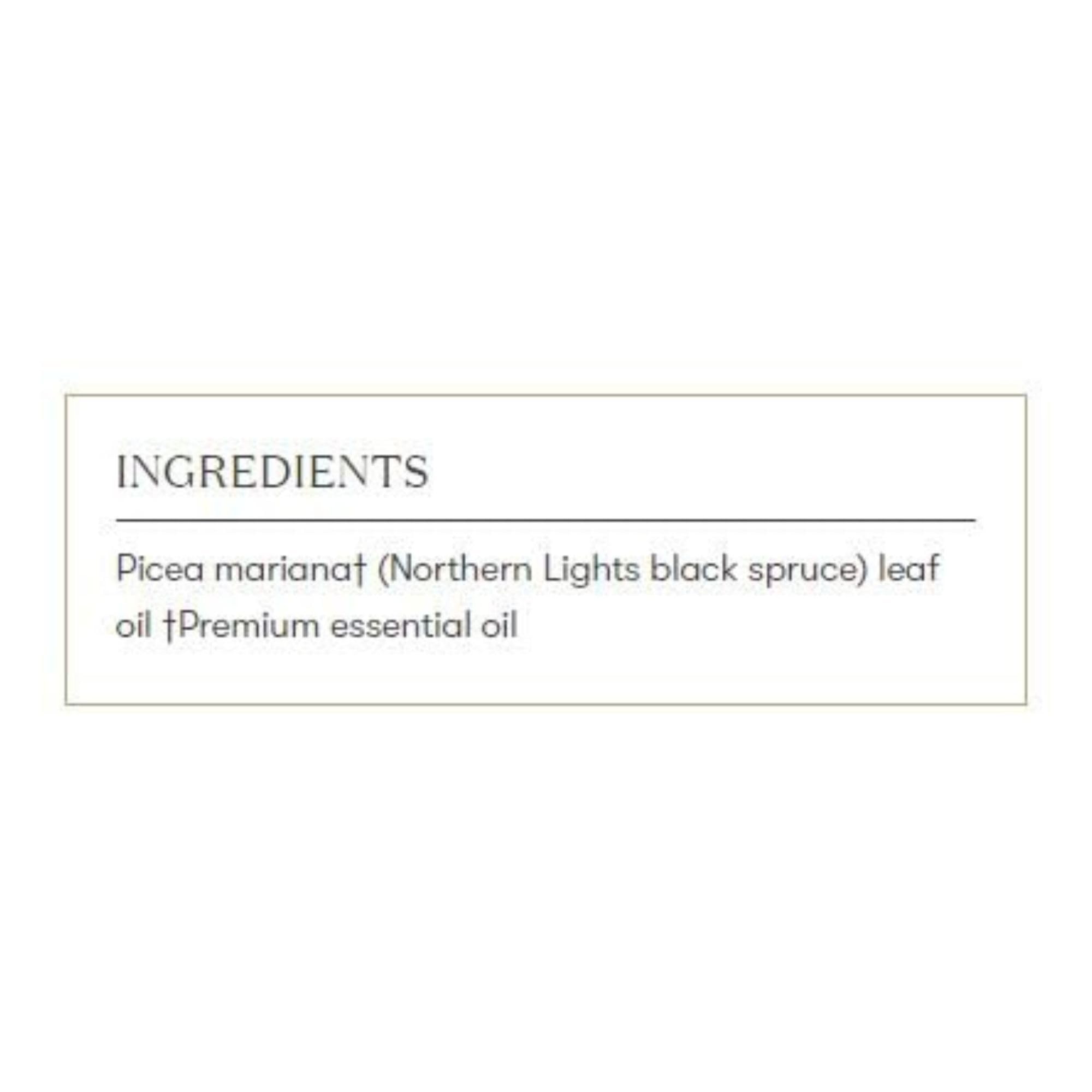 Young Living Northern Lights Black Spruce is steam-distilled from wild-harvested forests.