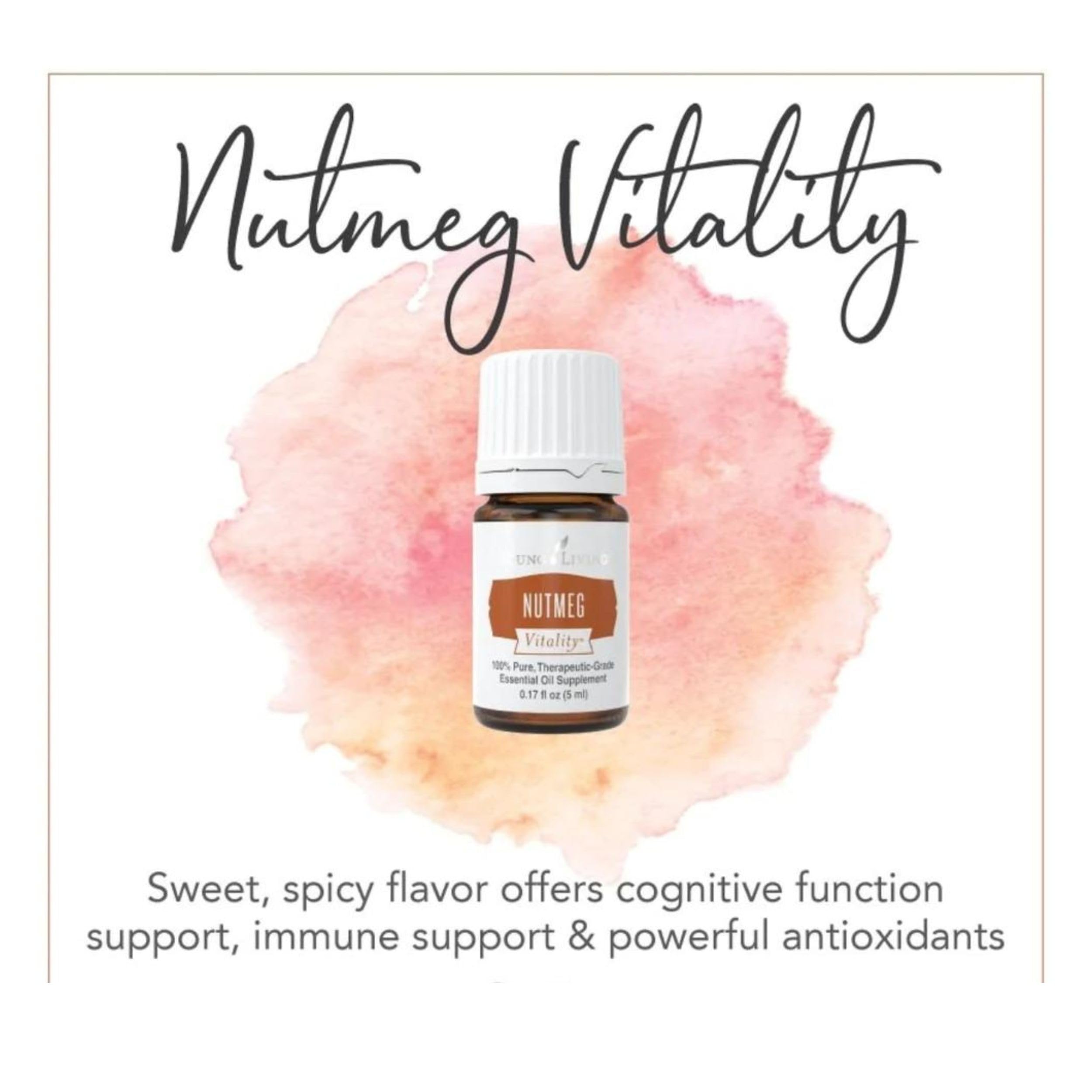 Baking jar of Nutmeg Vitality ready for spice blends