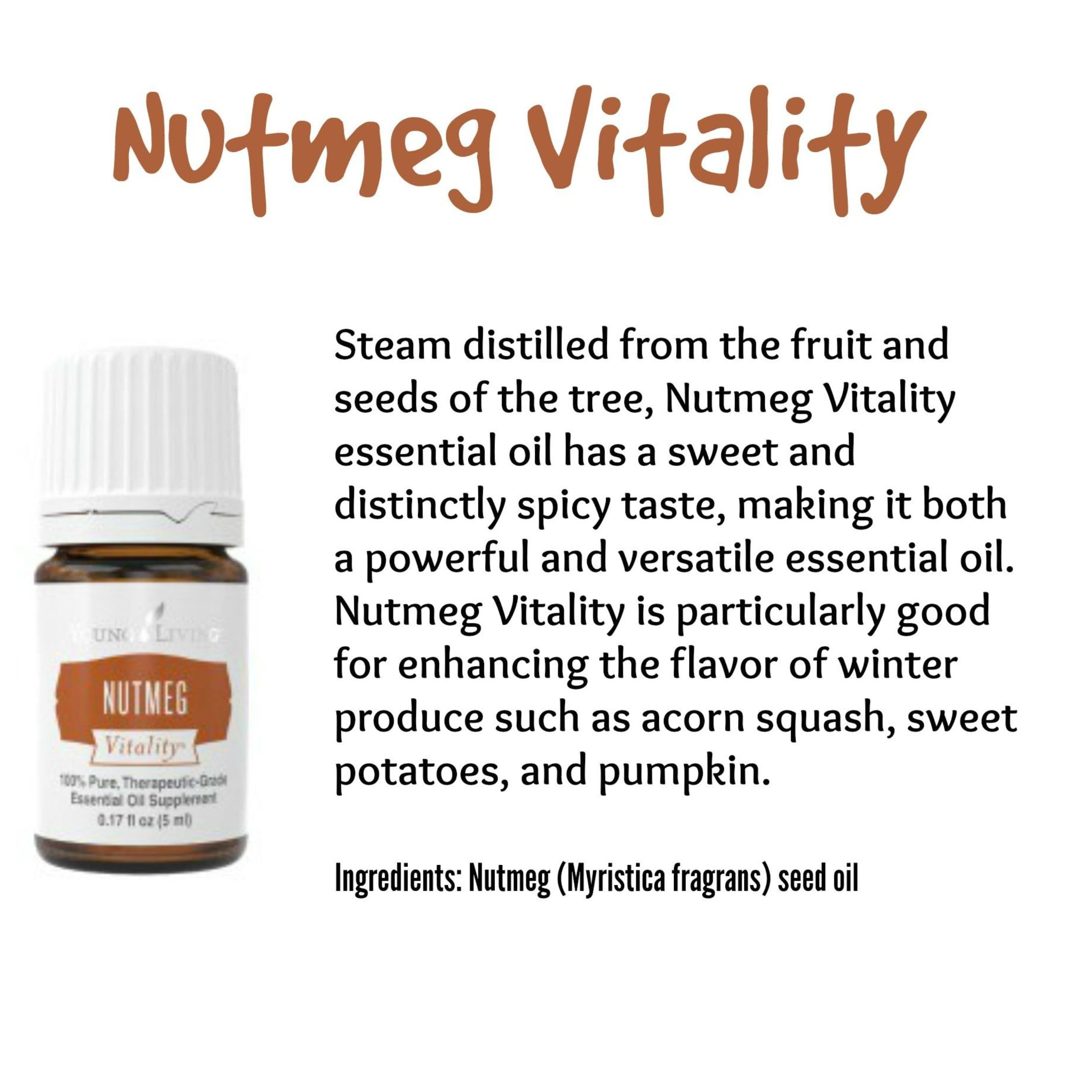Sauce-taste pairing with Nutmeg Vitality highlighting flavor balance