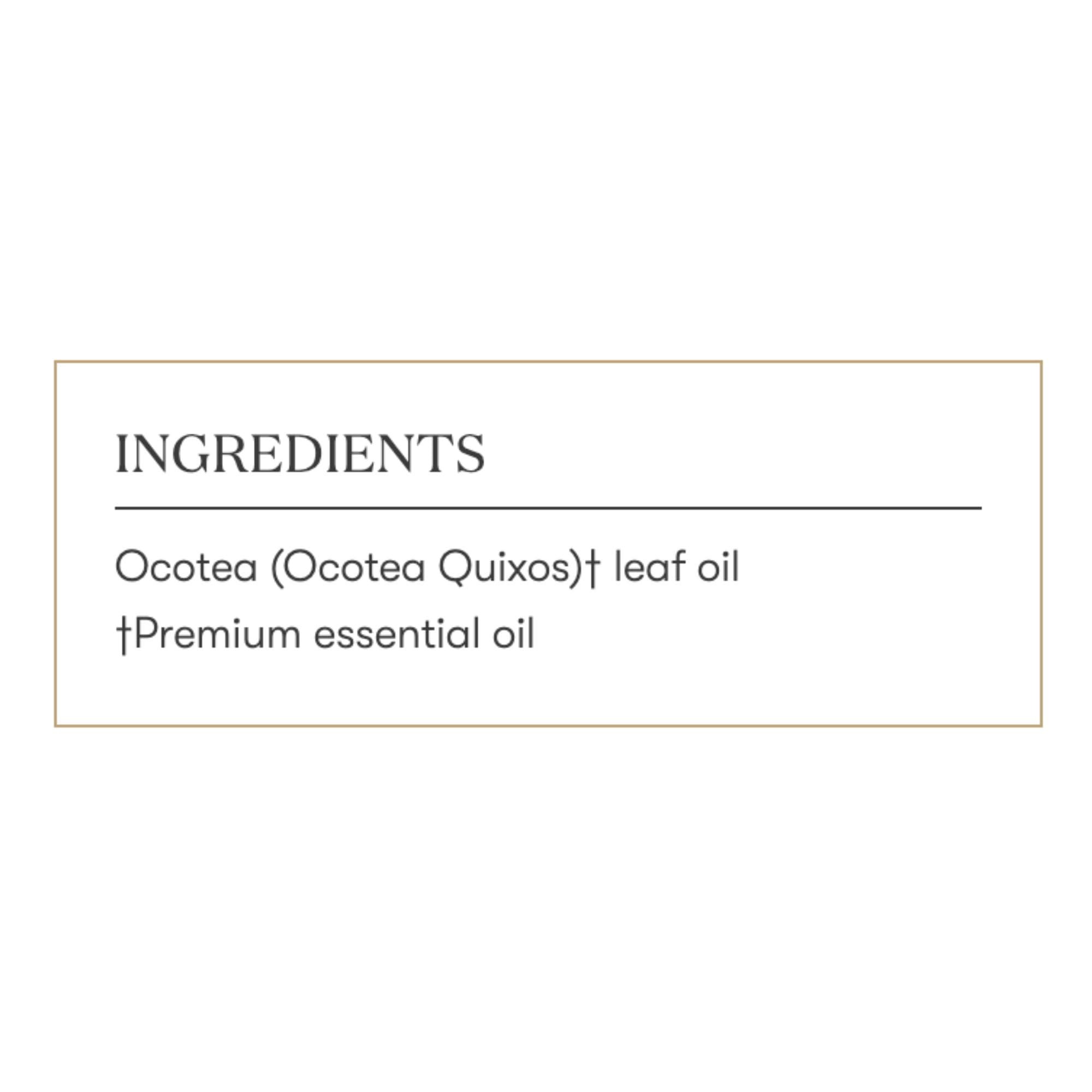 Ocotea as a cinnamon substitute offers a milder spice note for blends.