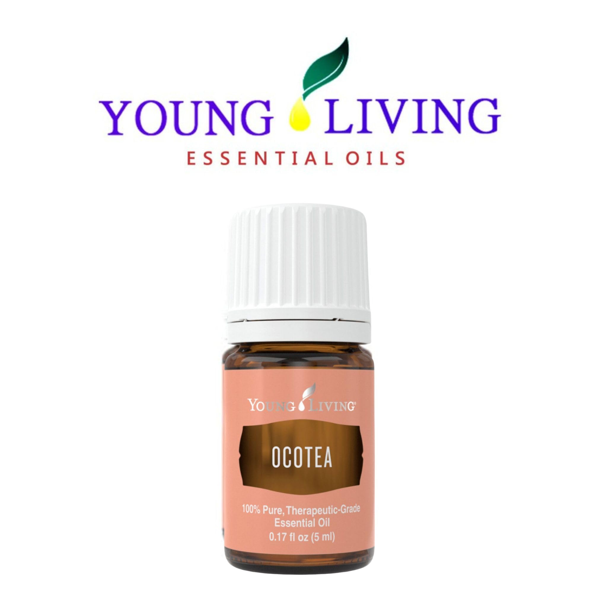 Historical flavor note: Ocotea links to traditional cakes and sweets in culinary history.