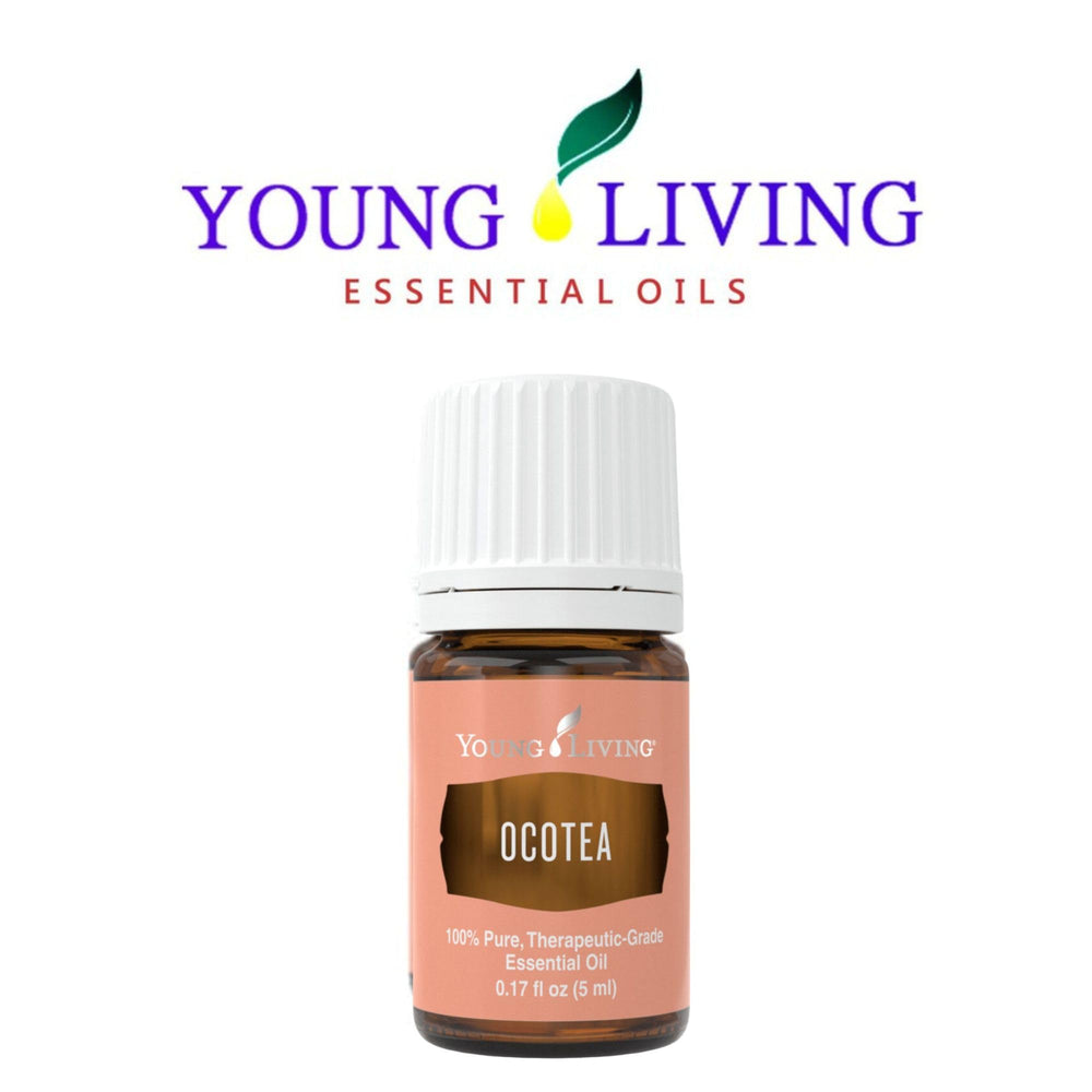 Historical flavor note: Ocotea links to traditional cakes and sweets in culinary history.