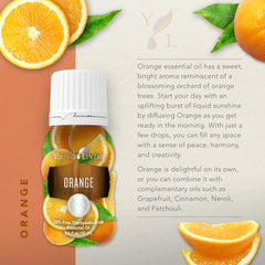 Diffuser setup with Young Living Orange Oil releasing a refreshing citrus scent.