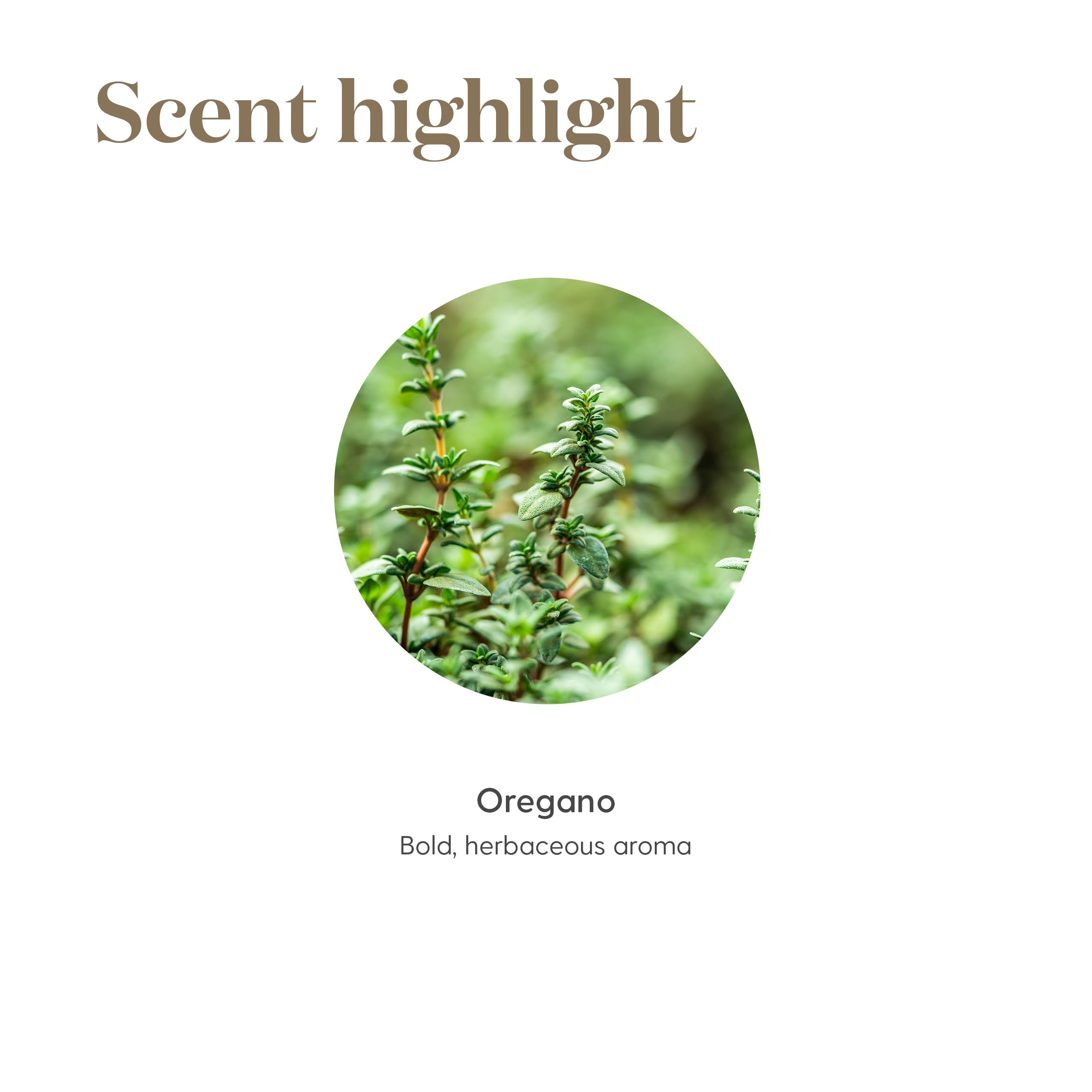 Daily routine with diluted oregano oil from Young Living