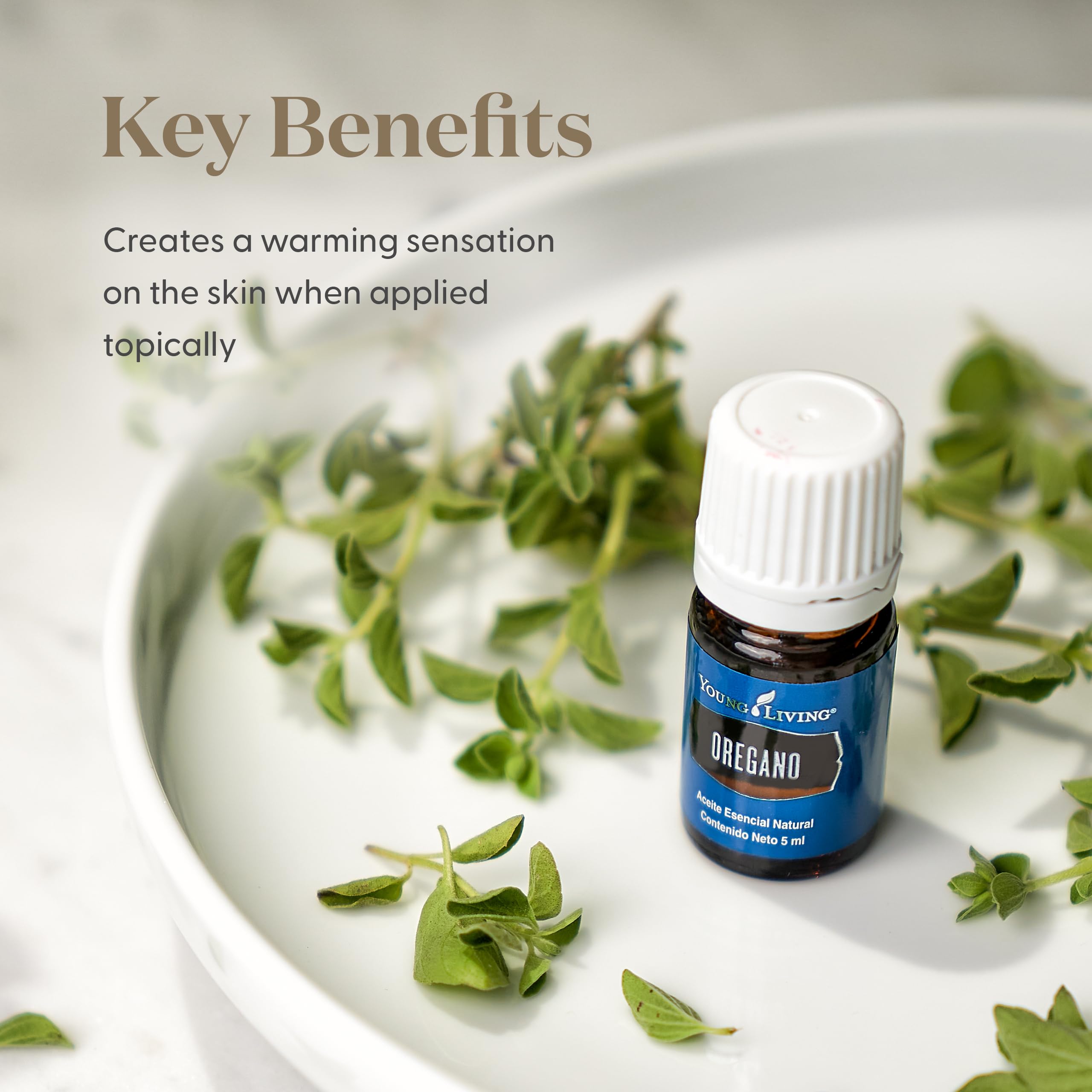 Diffuser scene with Young Living oregano essential oil