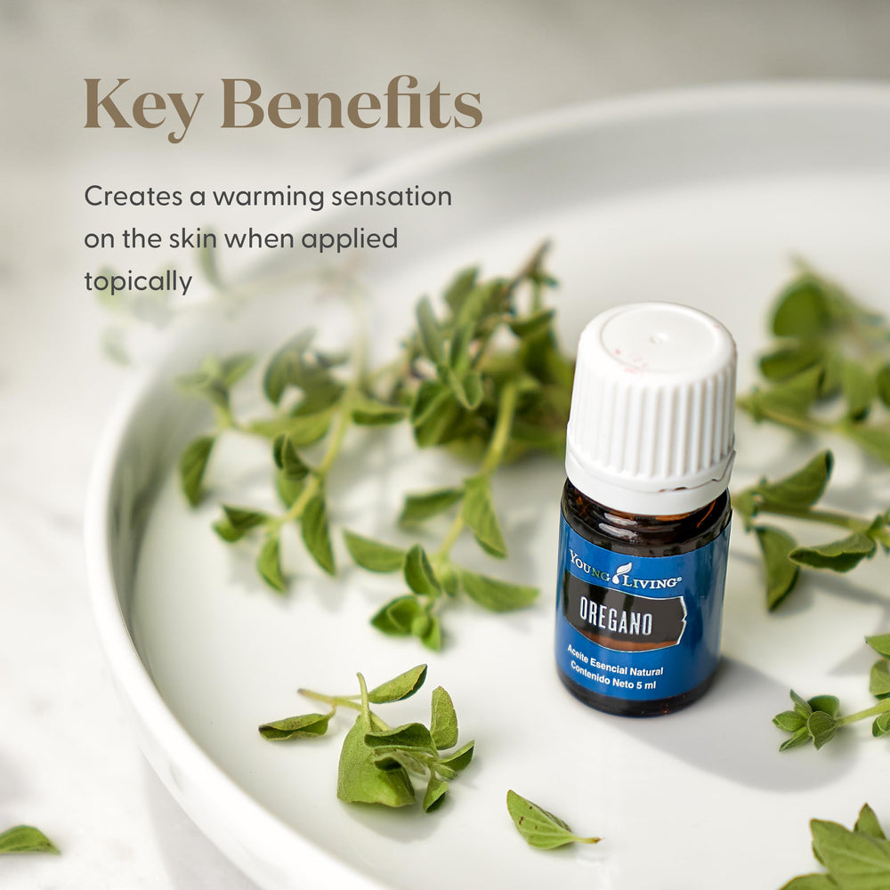Diffuser scene with Young Living oregano essential oil