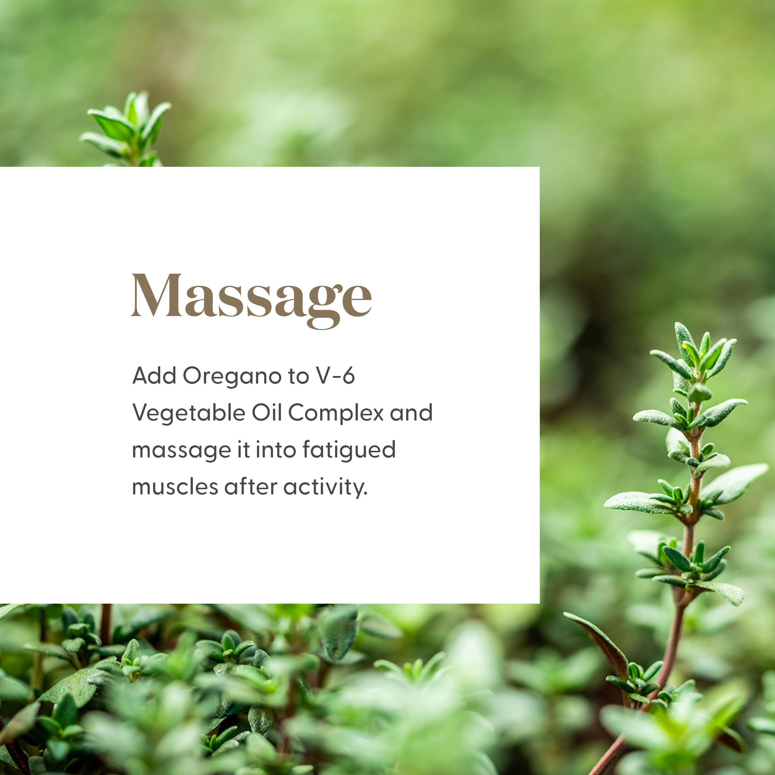 Oregano oil topically applied with proper dilution in skincare routine