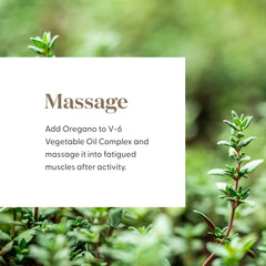 Oregano oil topically applied with proper dilution in skincare routine