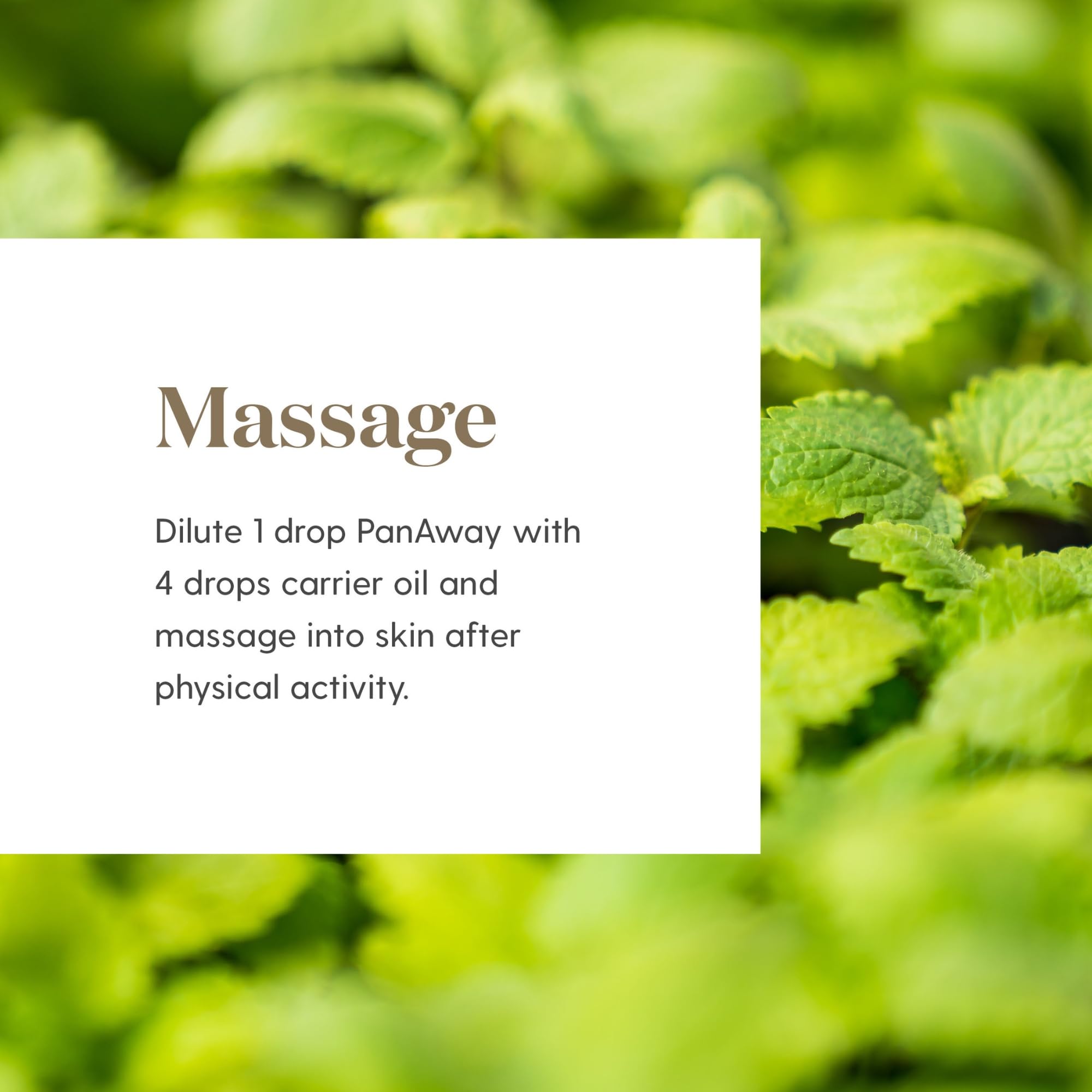 Young Living PanAway blended with V-6 for a relaxing neck and shoulder massage.