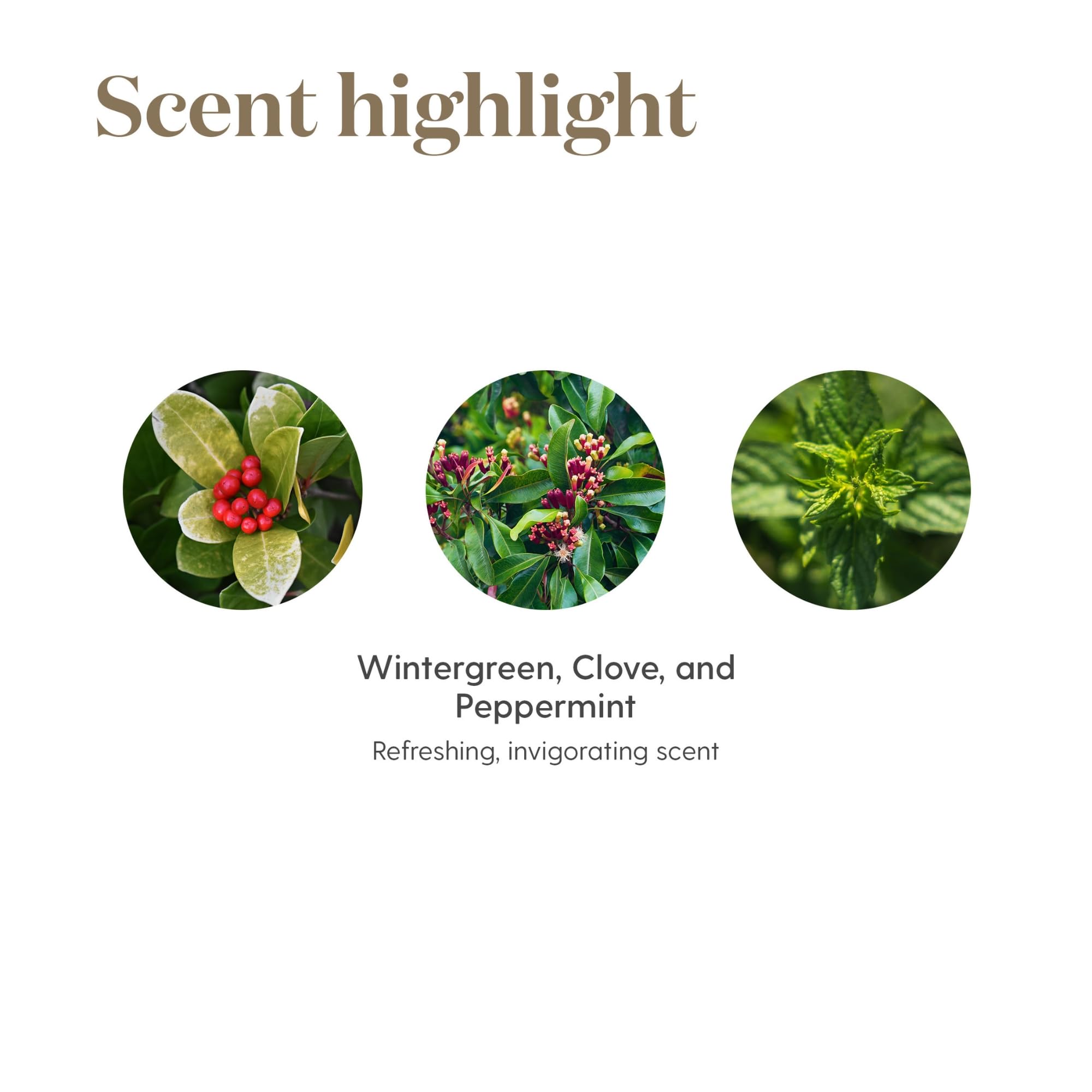 Travel-friendly PanAway 5ml bottle for refreshing aroma anywhere.
