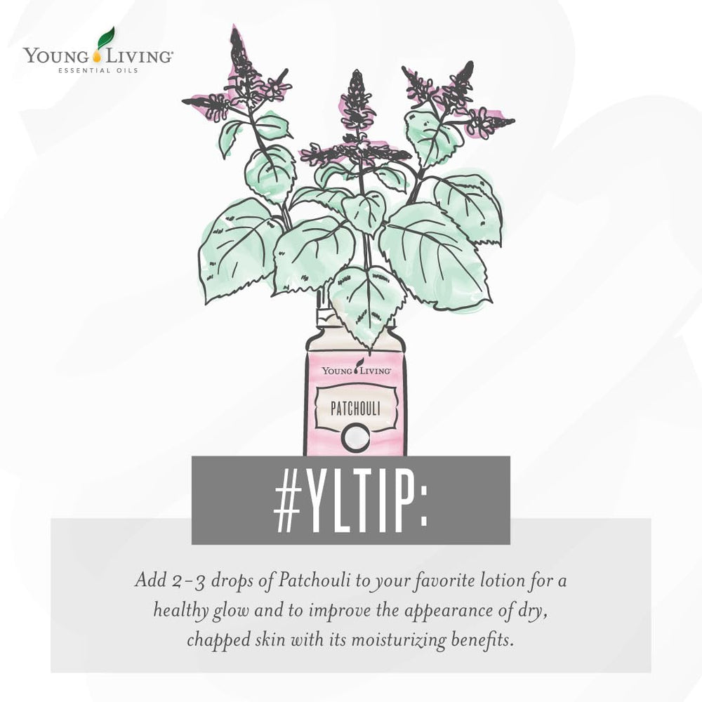 Young Living Patchouli essential oil dropper bottle for easy, precise application.