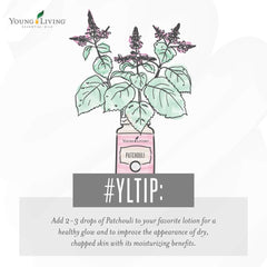 Young Living Patchouli essential oil dropper bottle for easy, precise application.