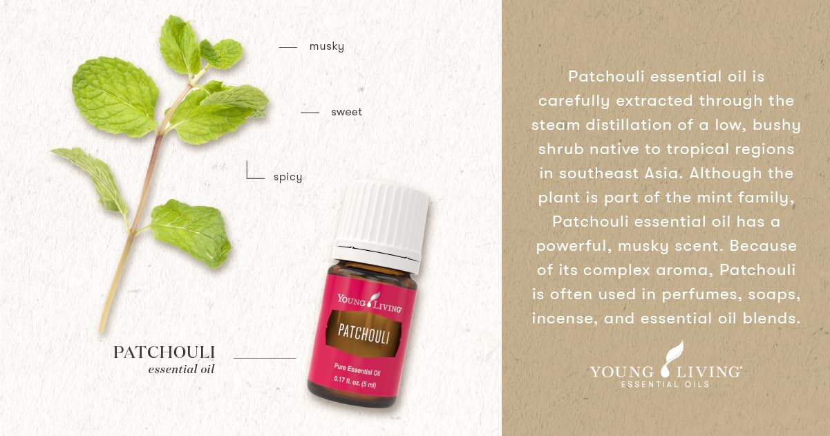 Young Living Patchouli essential oil in a calm room scene, promoting serenity.