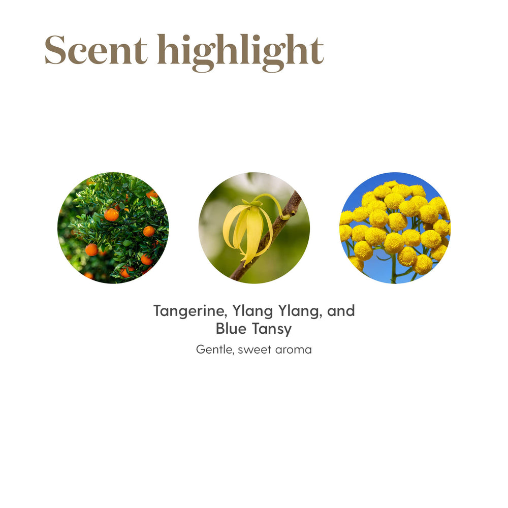 Young Living Peace and Calming meditation setup supports focused breathing and peaceful sessions.