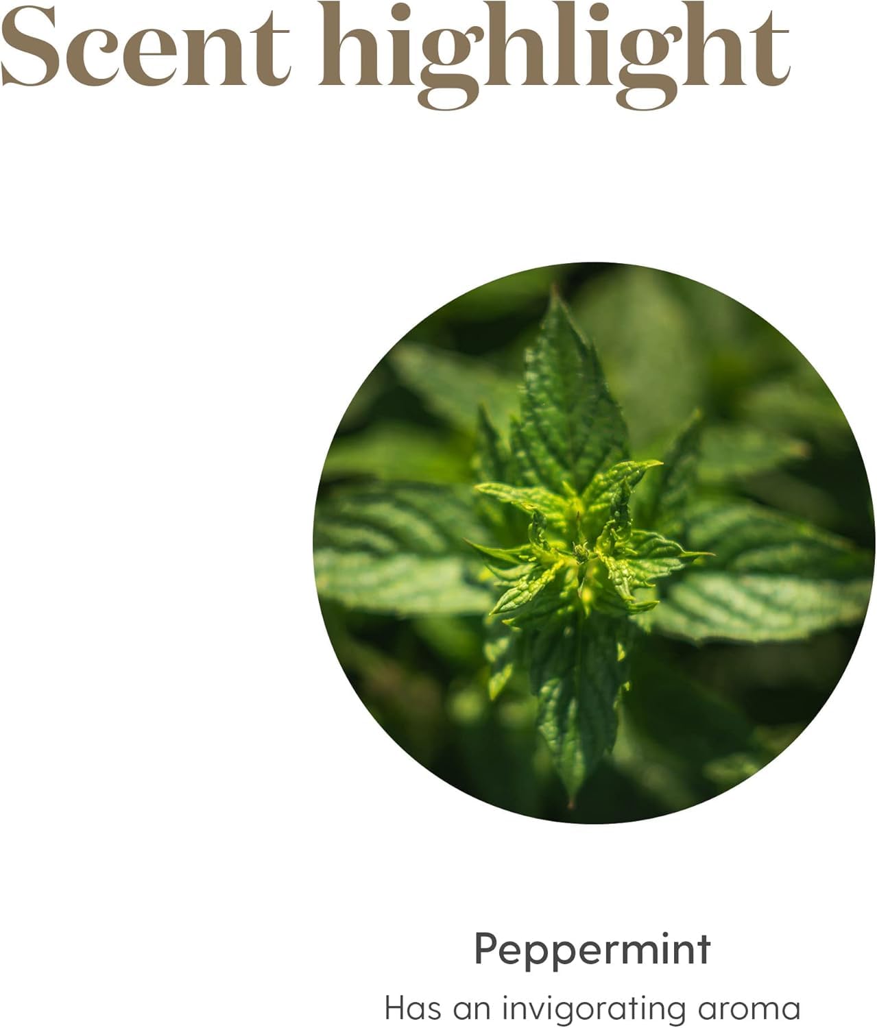 Young Living Peppermint Oil purity features include kosher-certified, vegan-friendly, gluten-free qualities