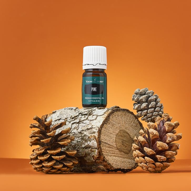 Diffuser in a room with Young Living Pine essential oil 5ml for a crisp ambiance