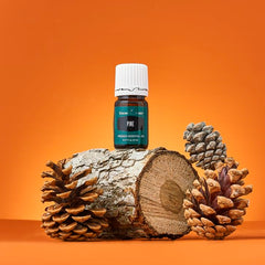 Diffuser in a room with Young Living Pine essential oil 5ml for a crisp ambiance
