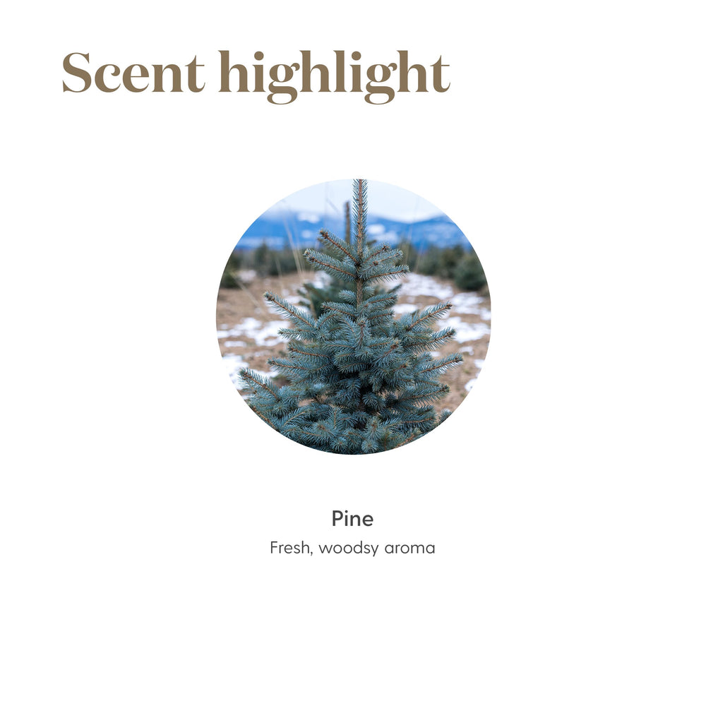 Close-up of Young Living Pine essential oil 5ml label emphasizing purity
