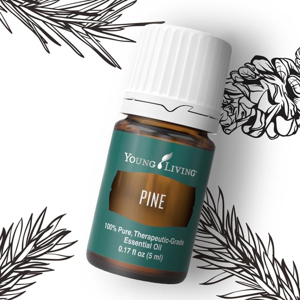 Pouring Young Living Pine essential oil 5ml to create a fresh room scent