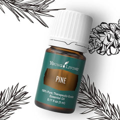 Pouring Young Living Pine essential oil 5ml to create a fresh room scent
