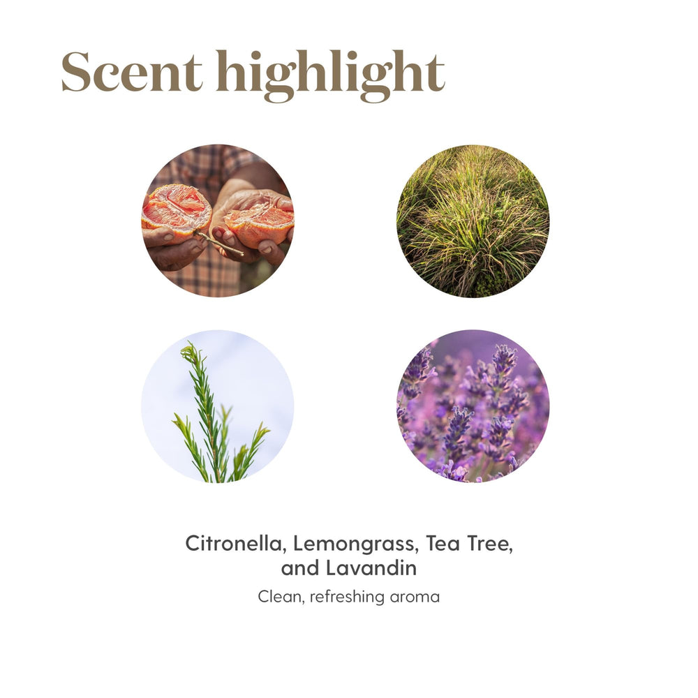 Young Living Purification 5ml air fresh use demonstrates quick odor masking