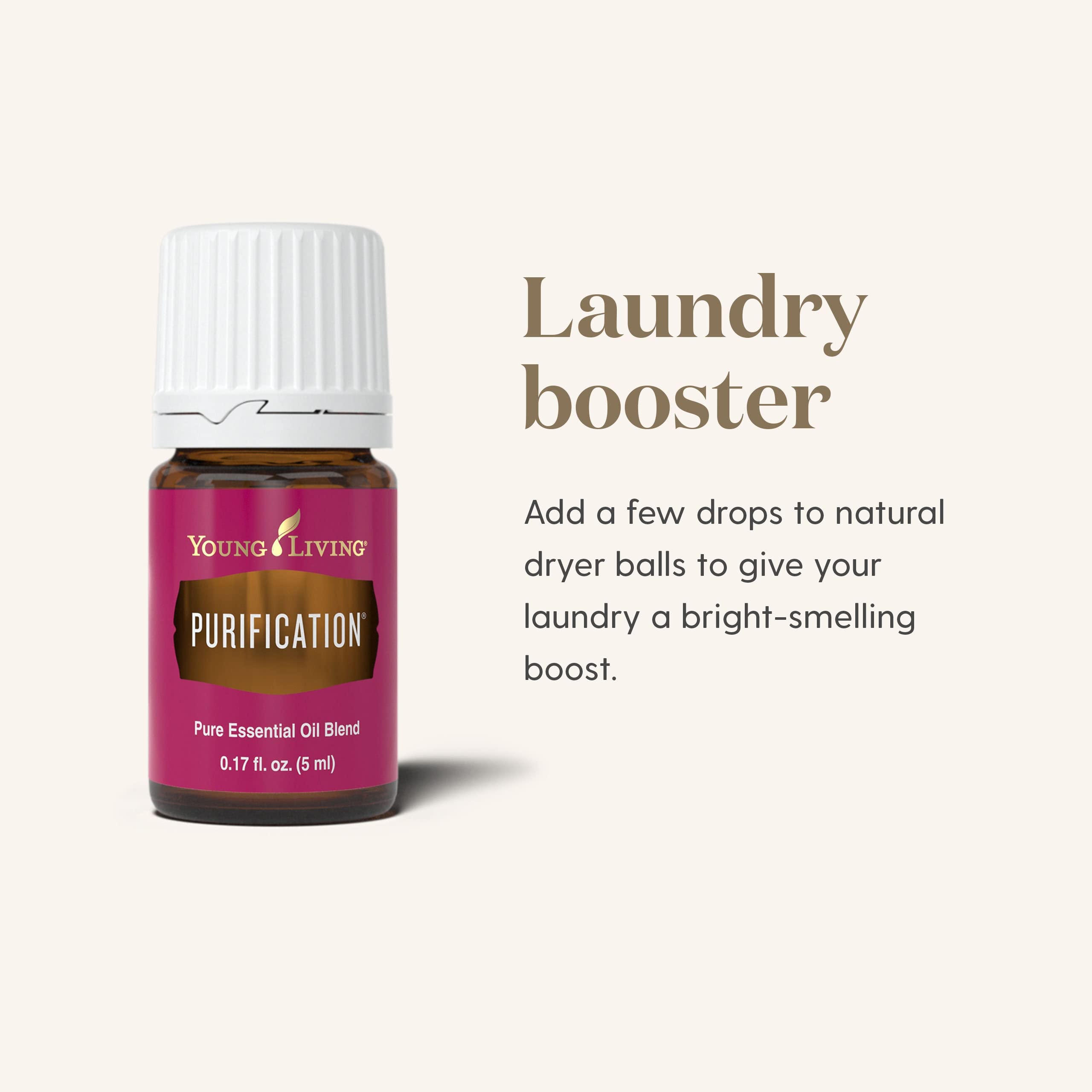 Young Living Purification 5ml diffuser dispersion demonstrates room aroma in action
