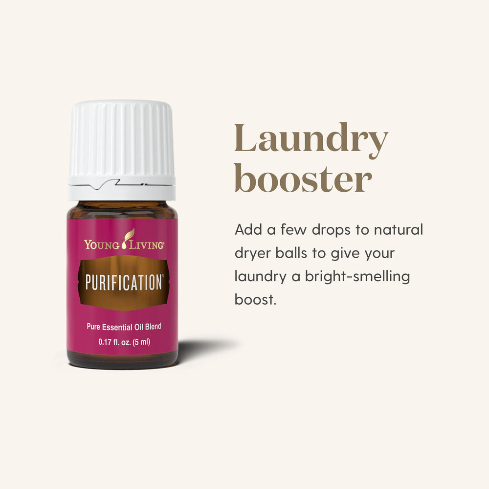 Young Living Purification 5ml diffuser dispersion demonstrates room aroma in action