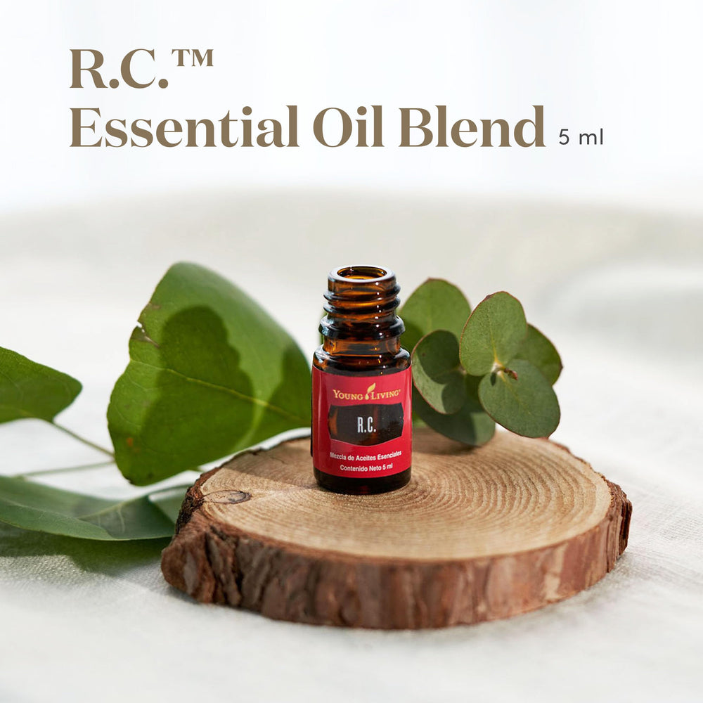Young Living RC blend in a diffuser setup delivering a bright, fresh scent.