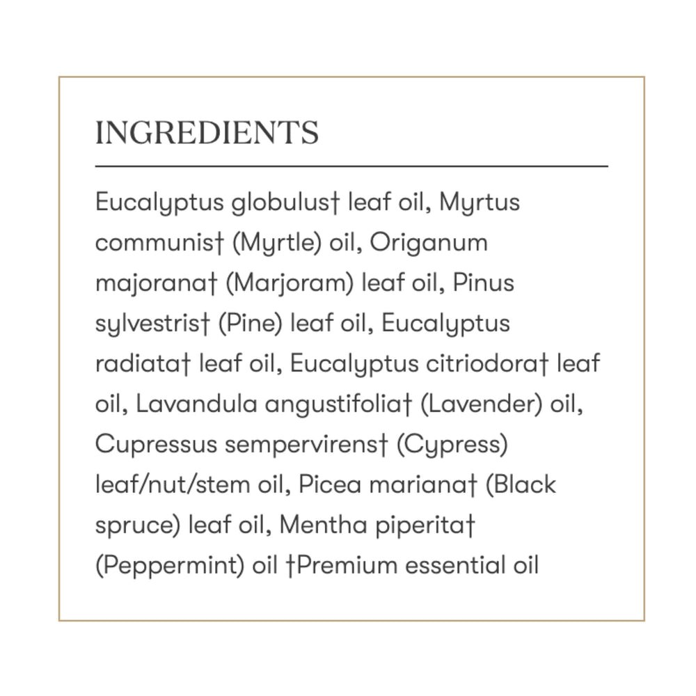 Young Living RC blend scene highlighting cooling menthol note.