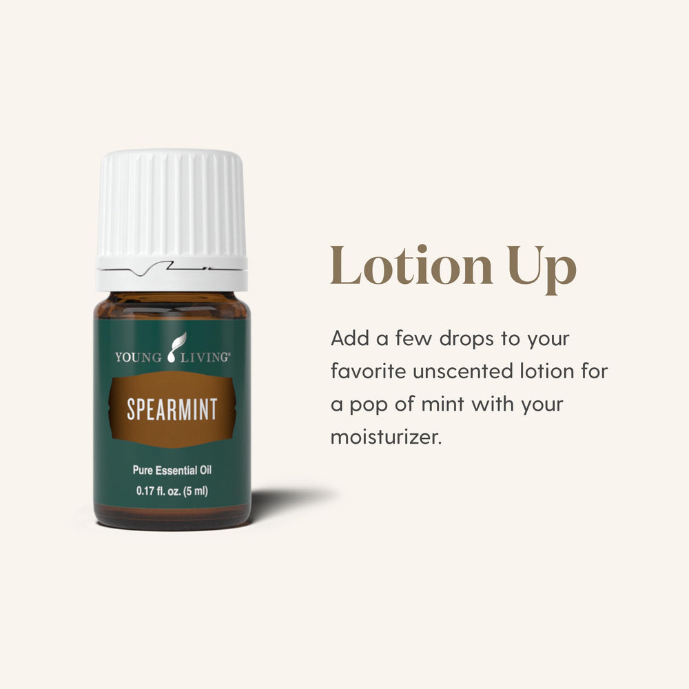 Young Living Spearmint oil used to diffuse with Citrus Fresh for an uplifting scent
