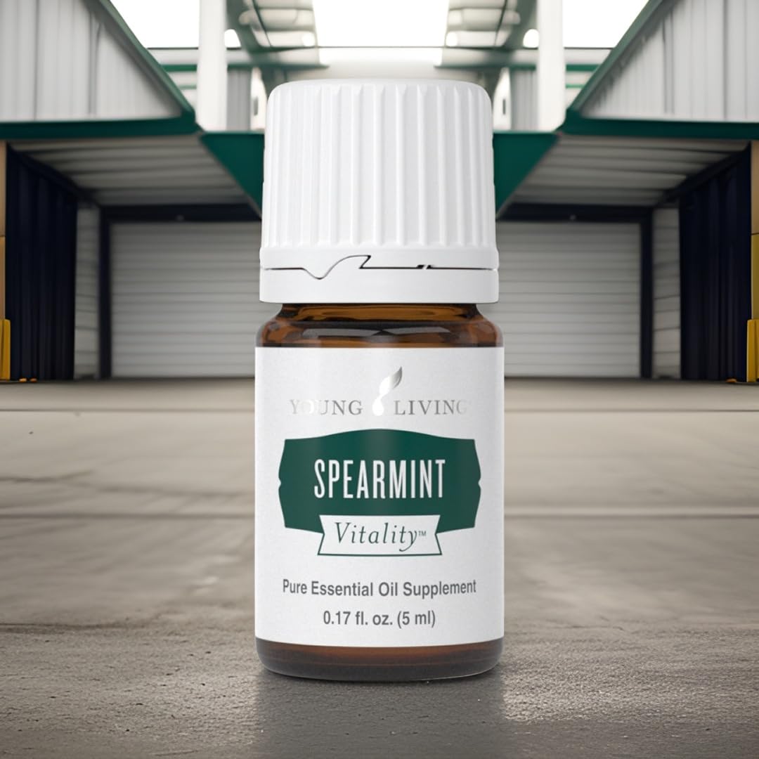 Spearmint Vitality soup flavor adds a minty lift to savory bowls.