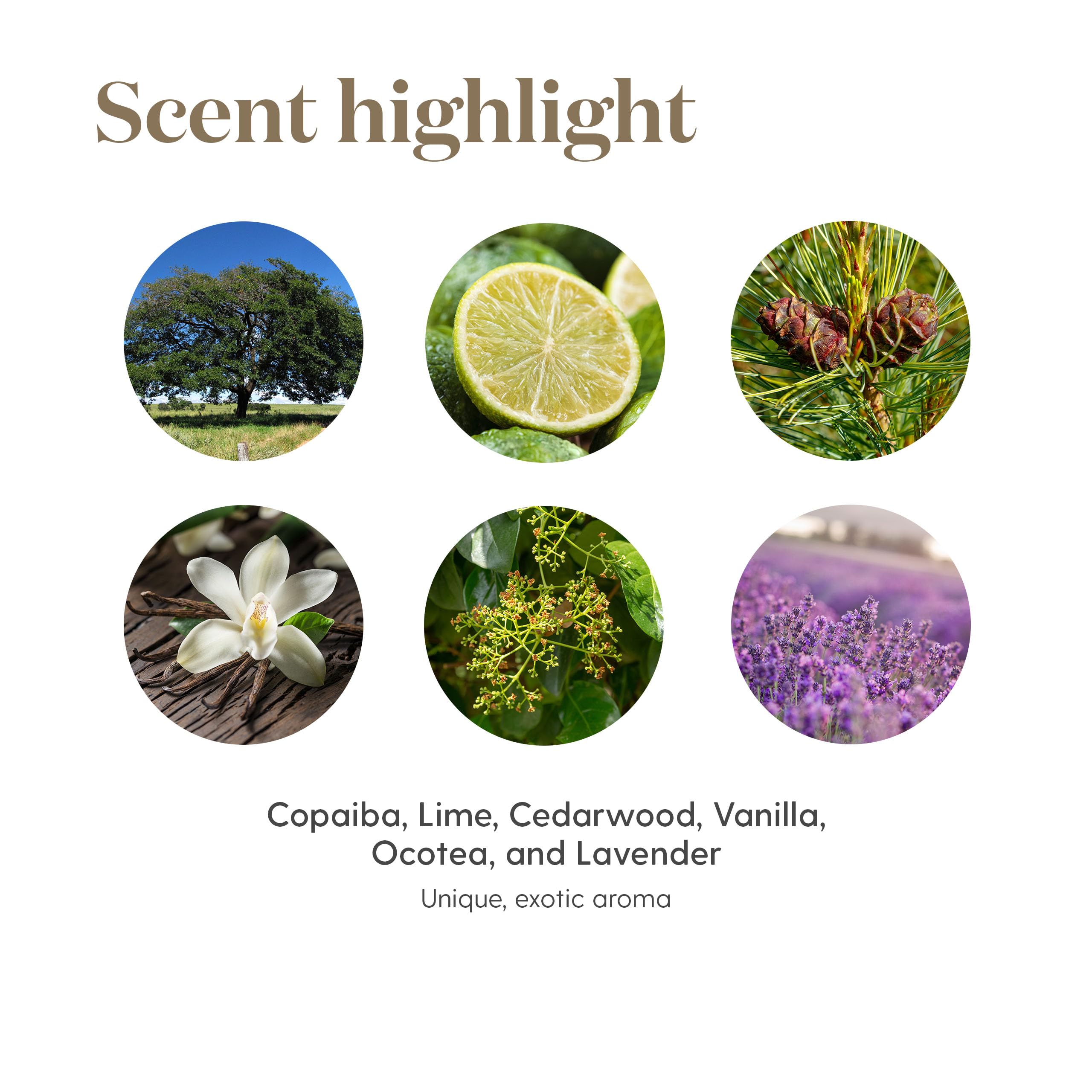 Young Living Stress Away Roll-On with cedarwood and lime hints.