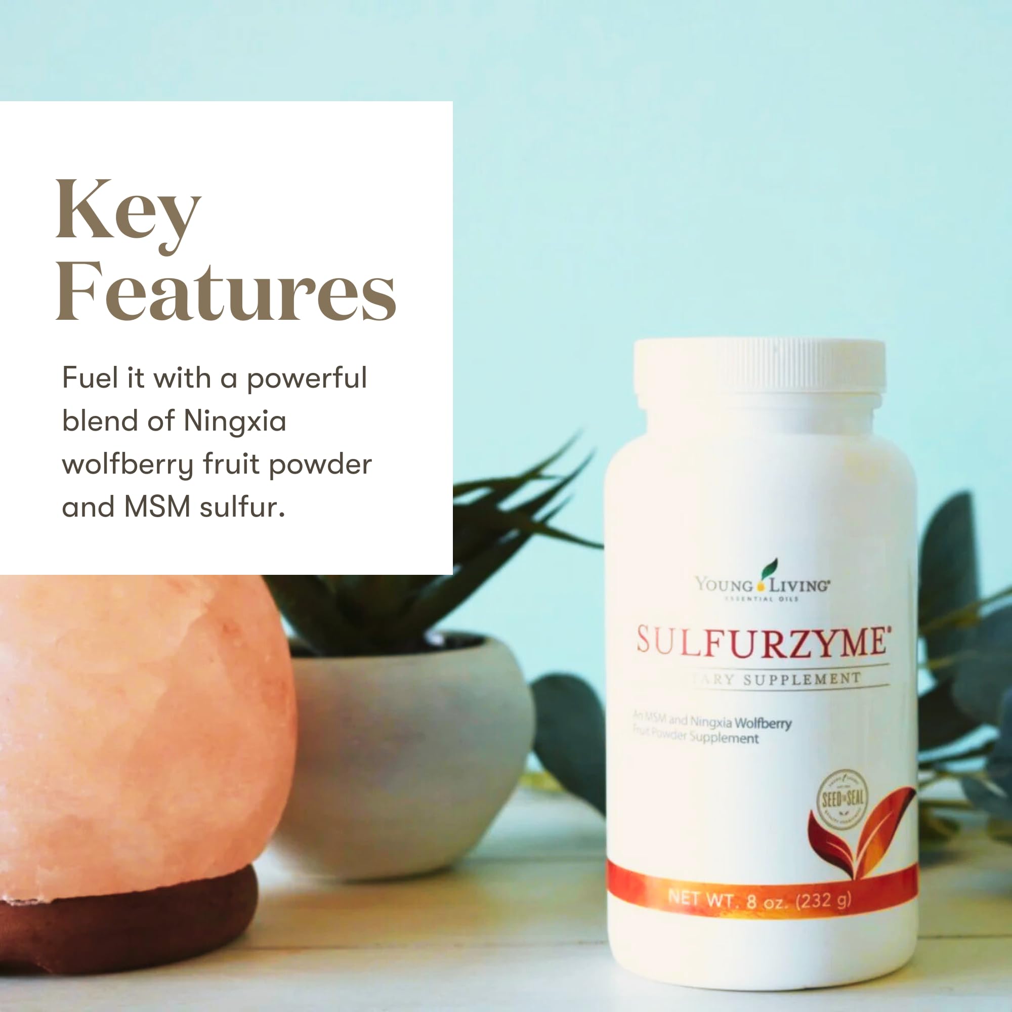 Young Living Sulfurzyme Powder label closeup showing plant-based ingredients for digestion