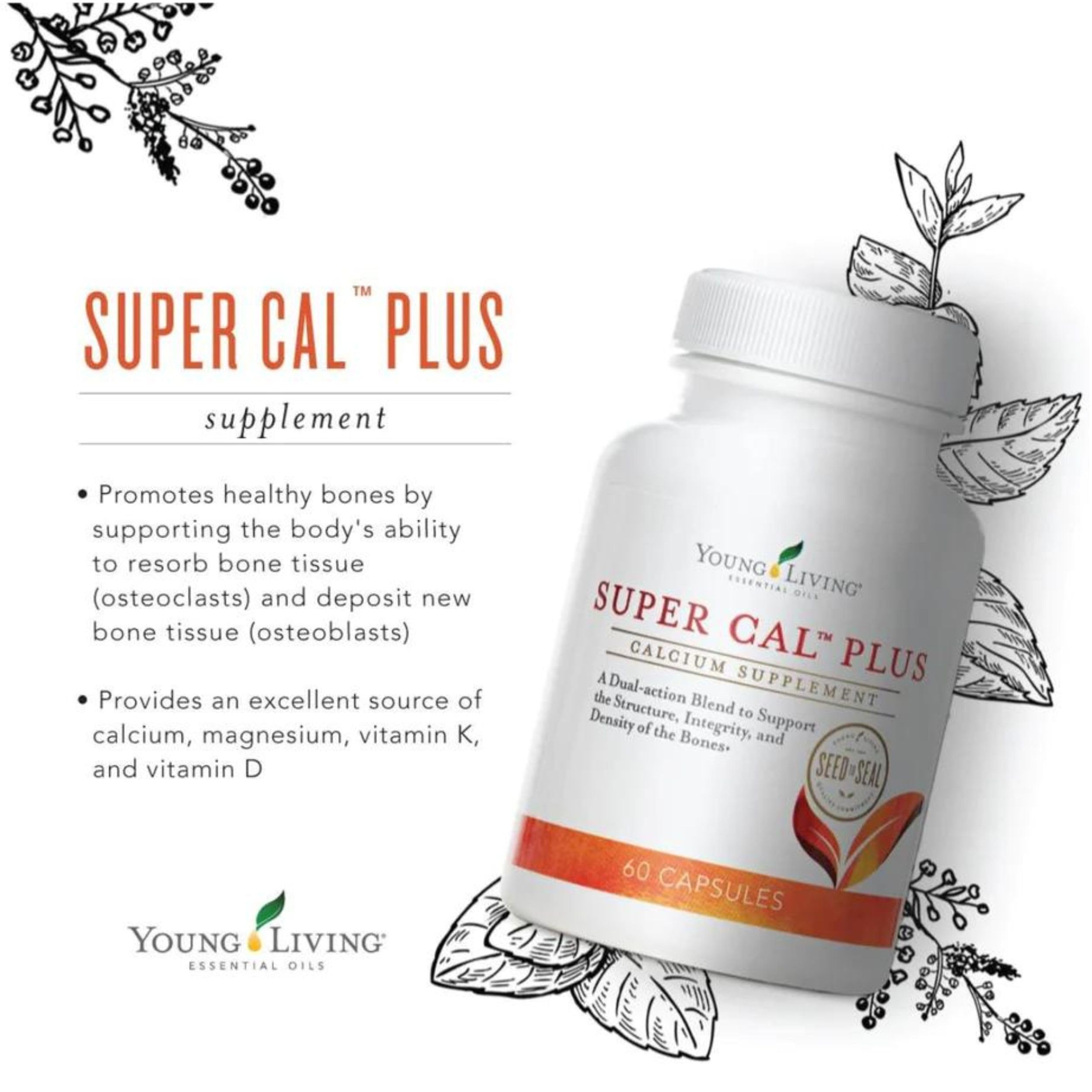 Young Living Super Cal Plus label showcases calcium, magnesium, vitamins D and K.