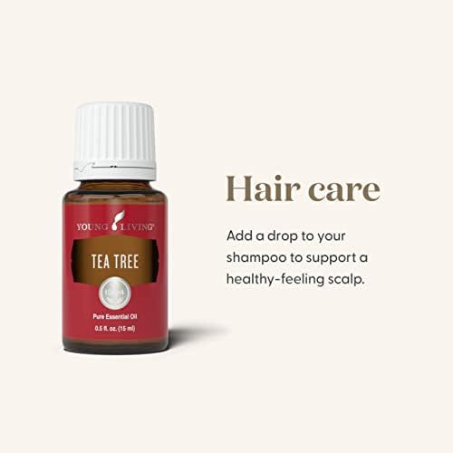 Young Living Tea Tree Oil diffuser setup with fresh aroma.