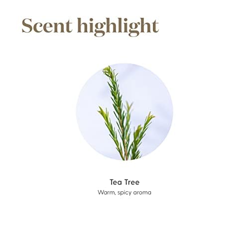 Tea Tree Oil blend for hair care and cleansing routines.